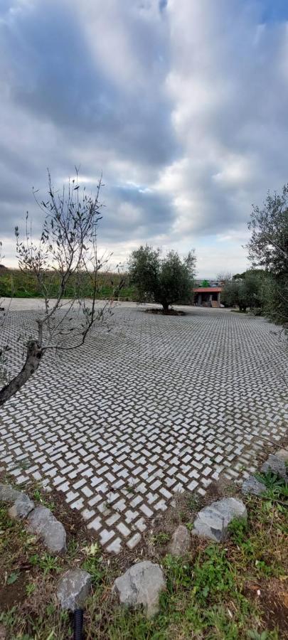 Merumalia Wine Resort Frascati Exterior photo