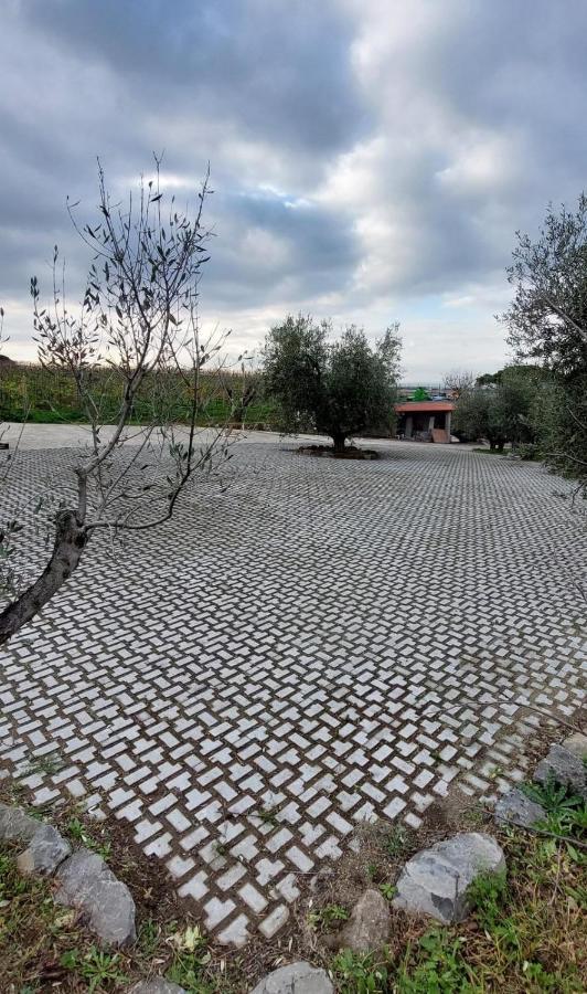 Merumalia Wine Resort Frascati Exterior photo