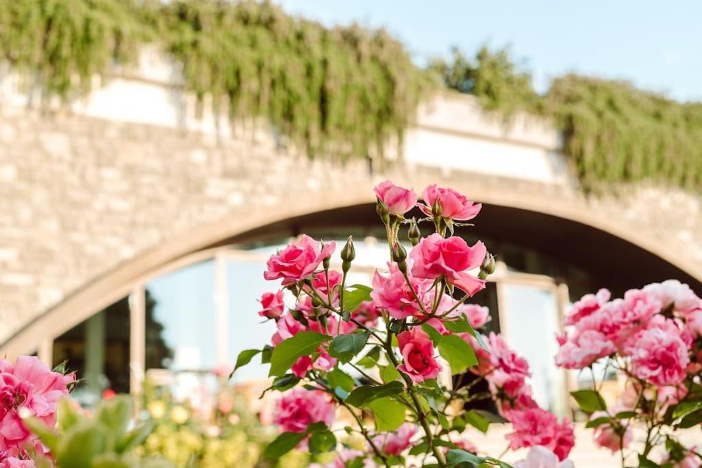 Merumalia Wine Resort Frascati Exterior photo