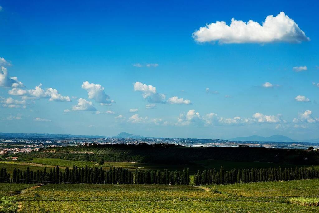 Merumalia Wine Resort Frascati Exterior photo