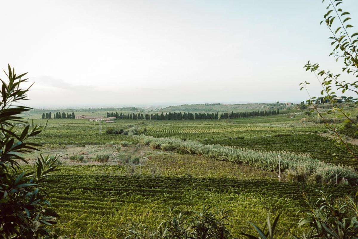 Merumalia Wine Resort Frascati Exterior photo