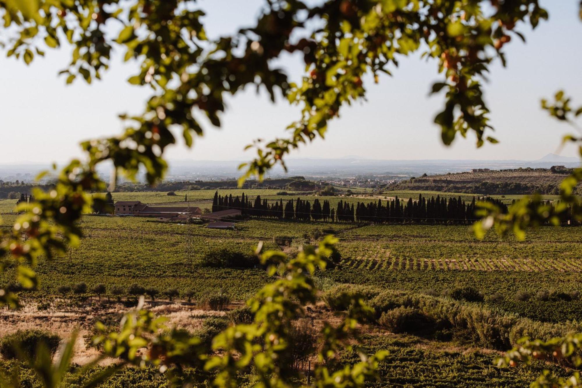 Merumalia Wine Resort Frascati Exterior photo